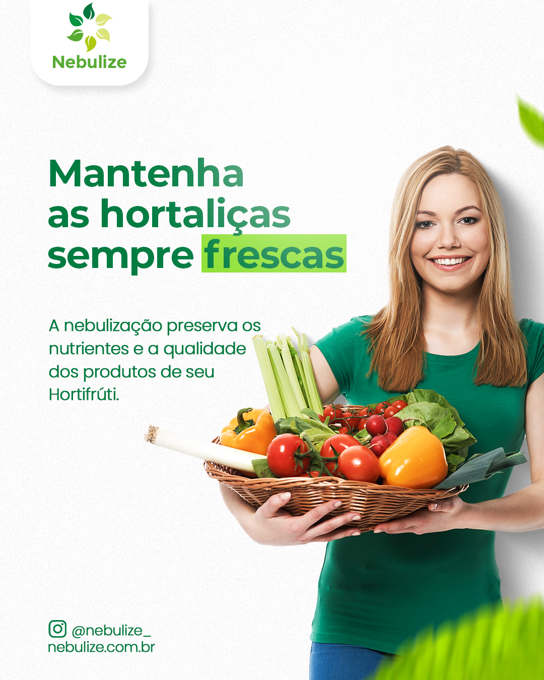 Nebulizador de Verduras para Hortifrúti em Agudos do Sul - PR ...
